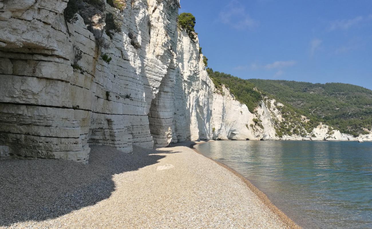 Cala della Cattedrale'in fotoğrafı açık bej kum yüzey ile