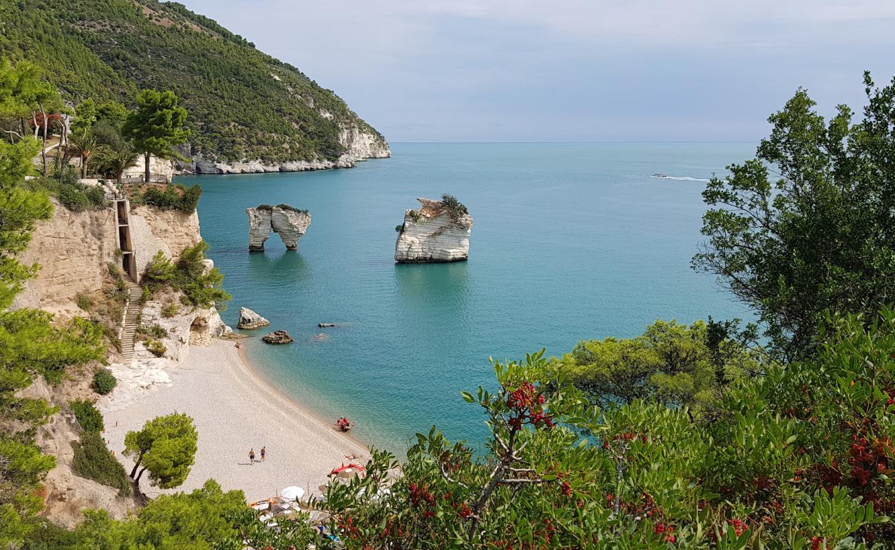 Baia dei Mergoli Plajı'in fotoğrafı bej çakıl yüzey ile
