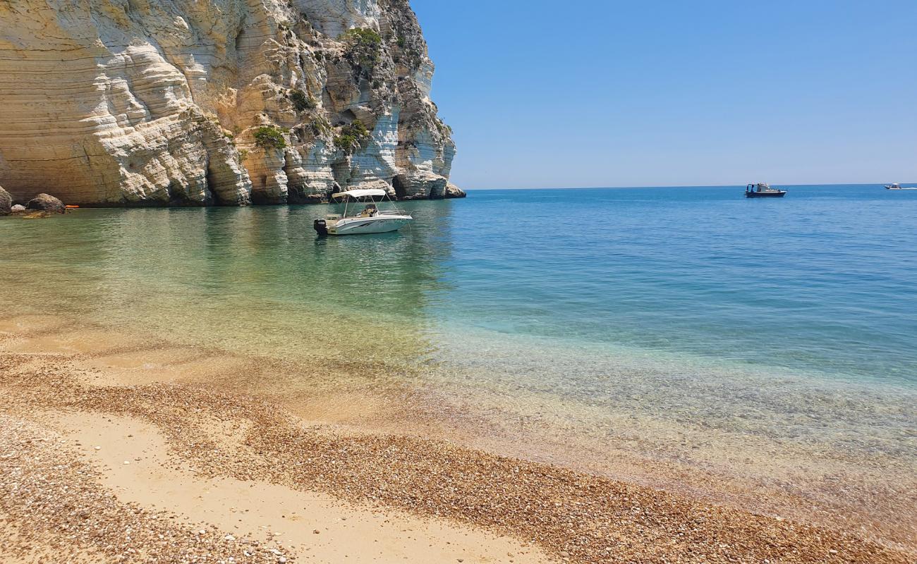 Cala dell'Aquila'in fotoğrafı küçük bej çakıl yüzey ile
