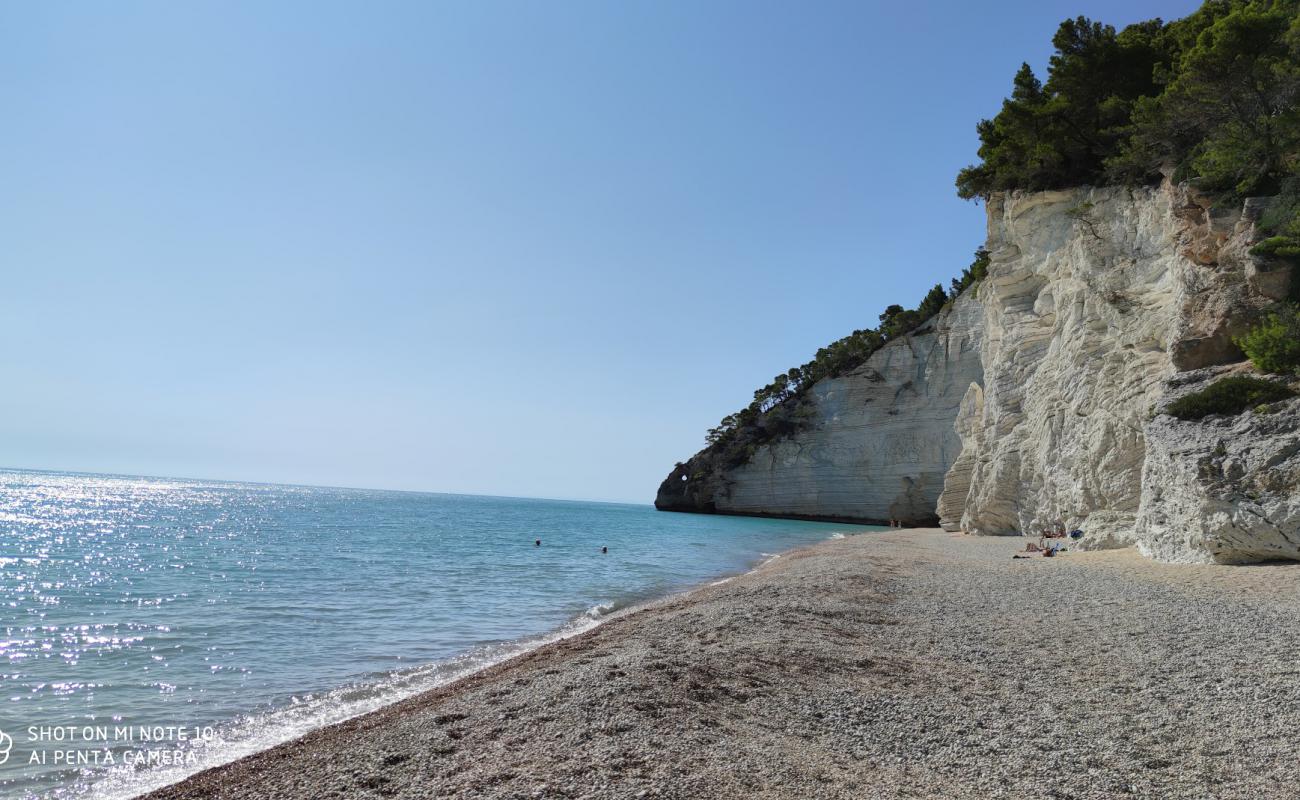 Vignanotica Plajı'in fotoğrafı hafif ince çakıl taş yüzey ile