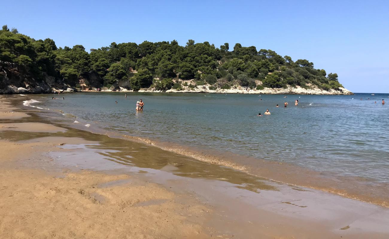 Spiaggia di San Felice'in fotoğrafı kahverengi kum yüzey ile