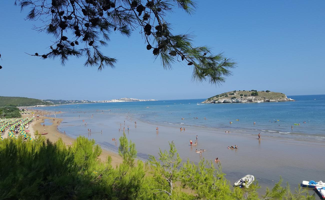 Spiaggia di Portonuovo'in fotoğrafı kahverengi kum yüzey ile