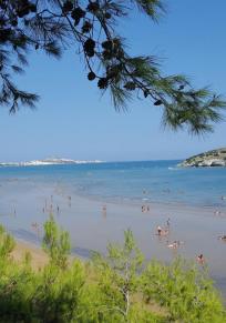Foggia İli