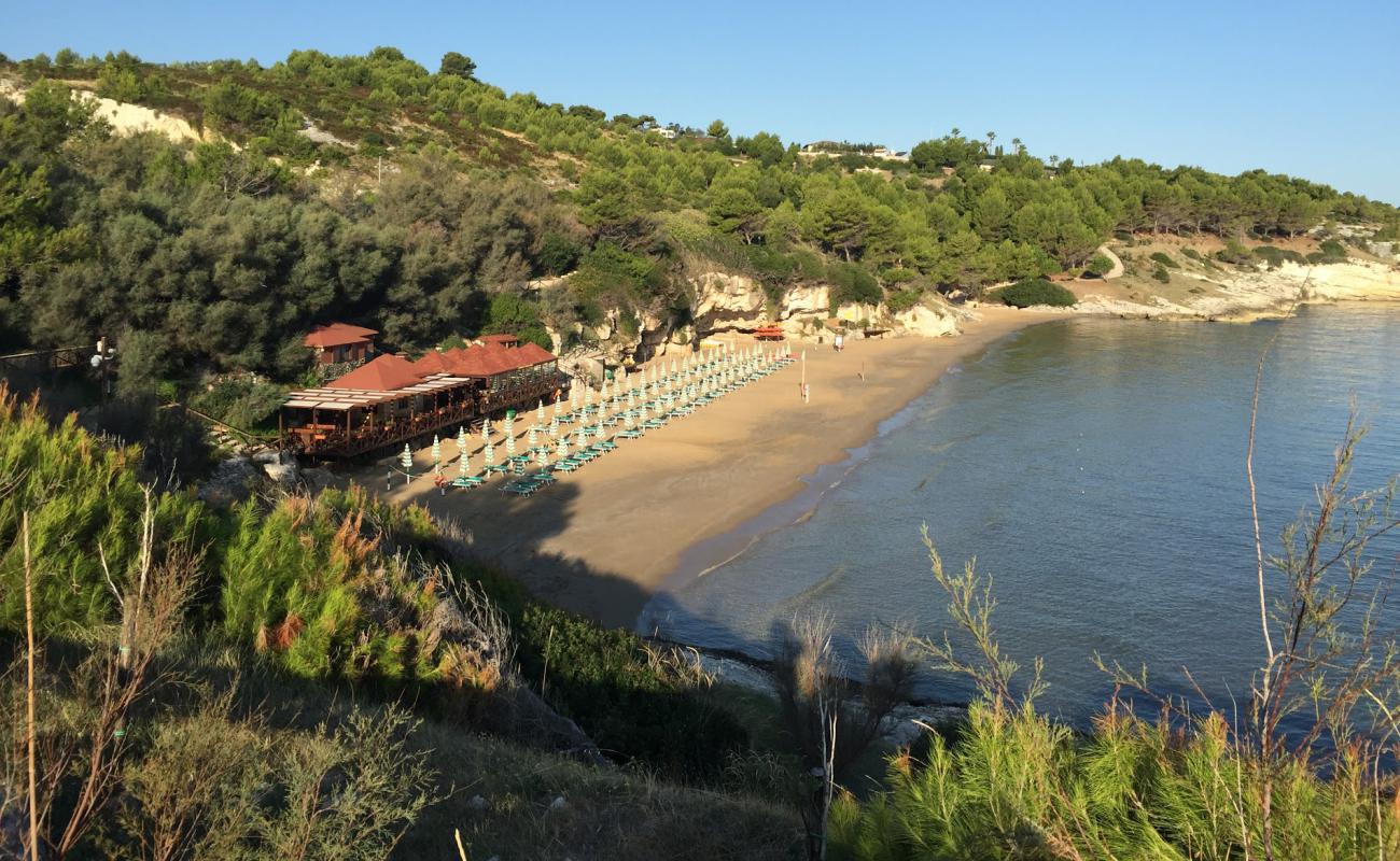 Spiaggia di dietro San Lorenzo'in fotoğrafı açık bej kum yüzey ile