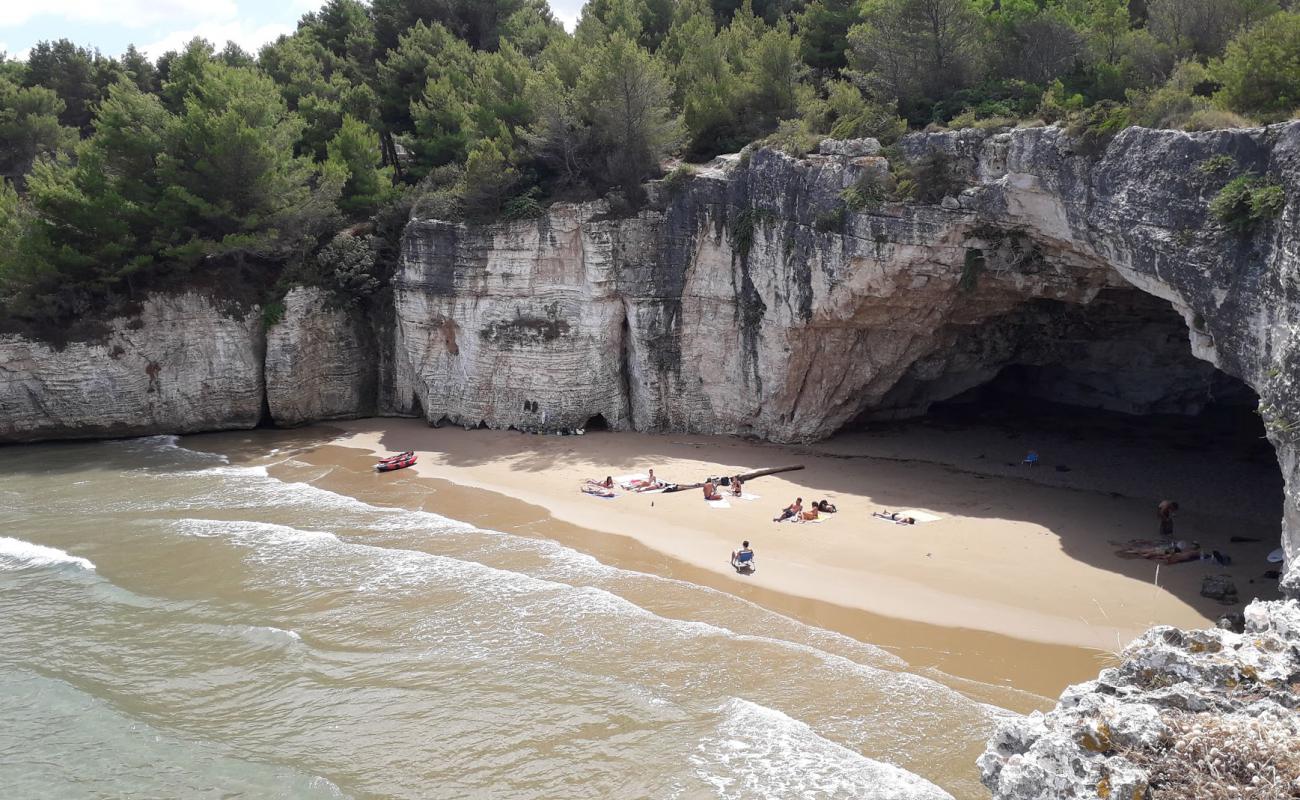 Spiaggia dei Colombi'in fotoğrafı kahverengi kum yüzey ile