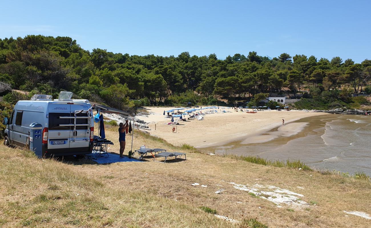 Spiaggia di Braico'in fotoğrafı açık bej kum yüzey ile