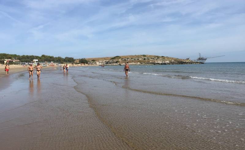 Spiaggia di Molinella'in fotoğrafı i̇nce bej kum yüzey ile