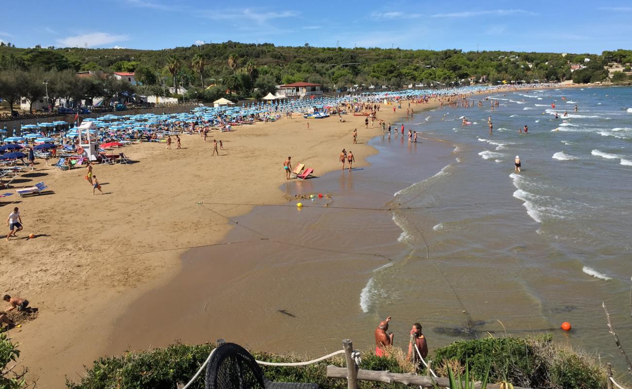 Spiaggia di Bescile'in fotoğrafı i̇nce bej kum yüzey ile