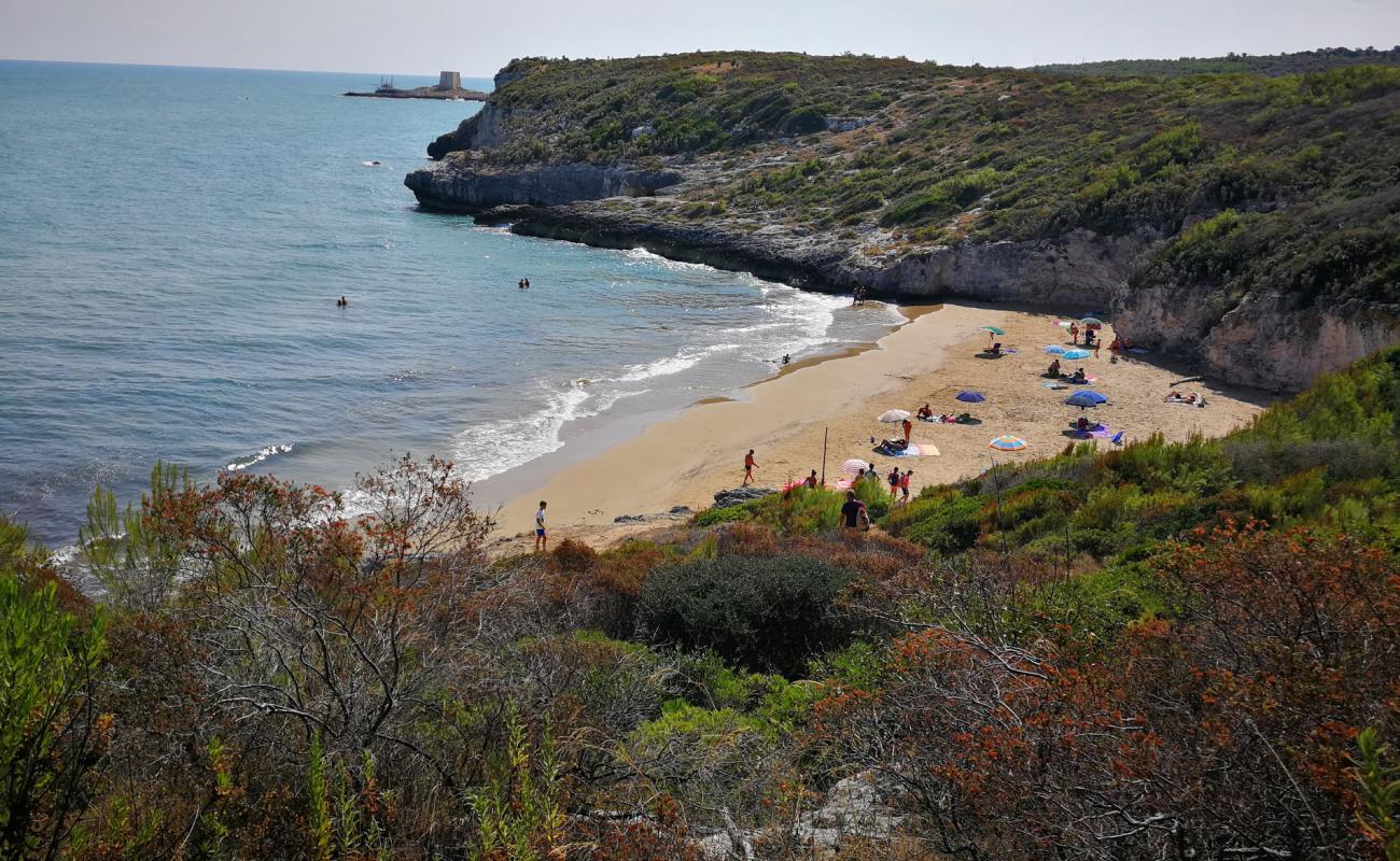 Cala dei Turchi'in fotoğrafı i̇nce kahverengi kum yüzey ile