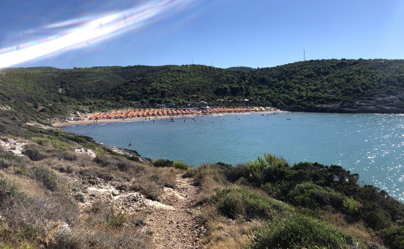 Spiaggia di Calalunga'in fotoğrafı i̇nce kahverengi kum yüzey ile