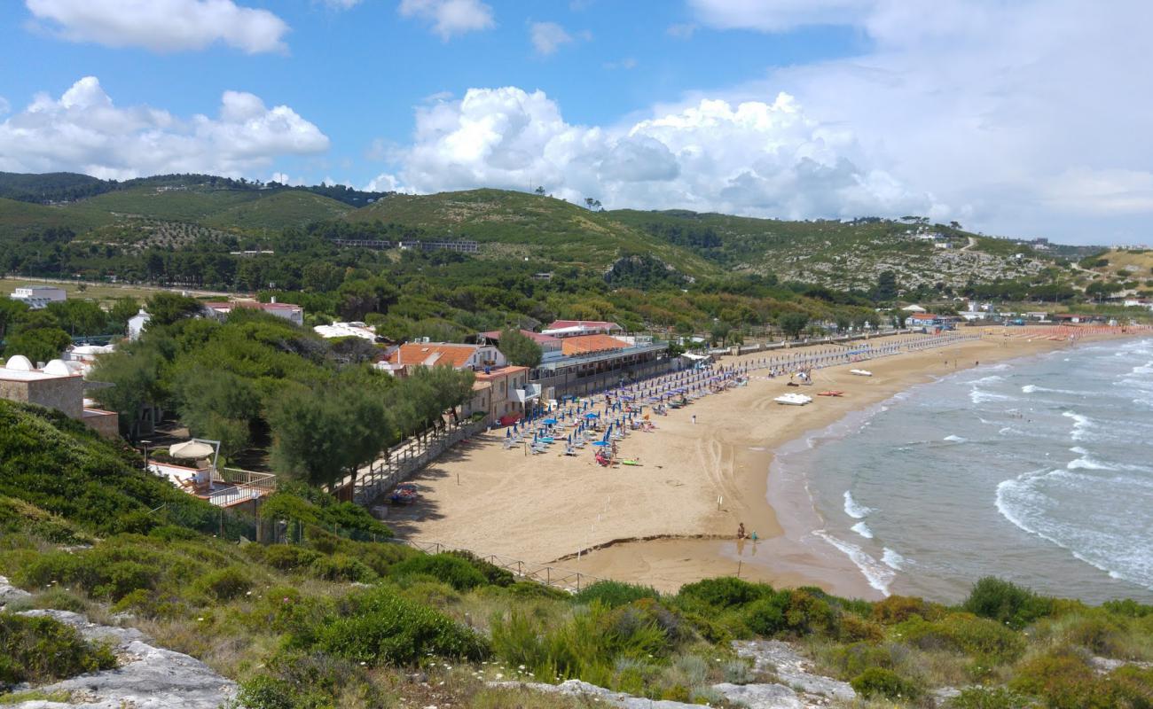Manaccora Beach'in fotoğrafı i̇nce kahverengi kum yüzey ile