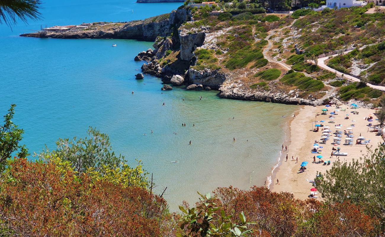 Spiaggia di Procinisco'in fotoğrafı kahverengi kum yüzey ile