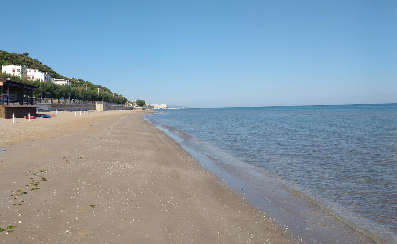Spiaggia di San Menaio'in fotoğrafı i̇nce kahverengi kum yüzey ile