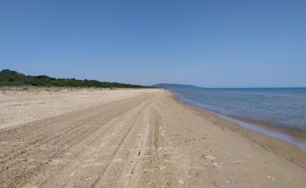 Spiaggia Isola di Varano'in fotoğrafı kahverengi kum yüzey ile