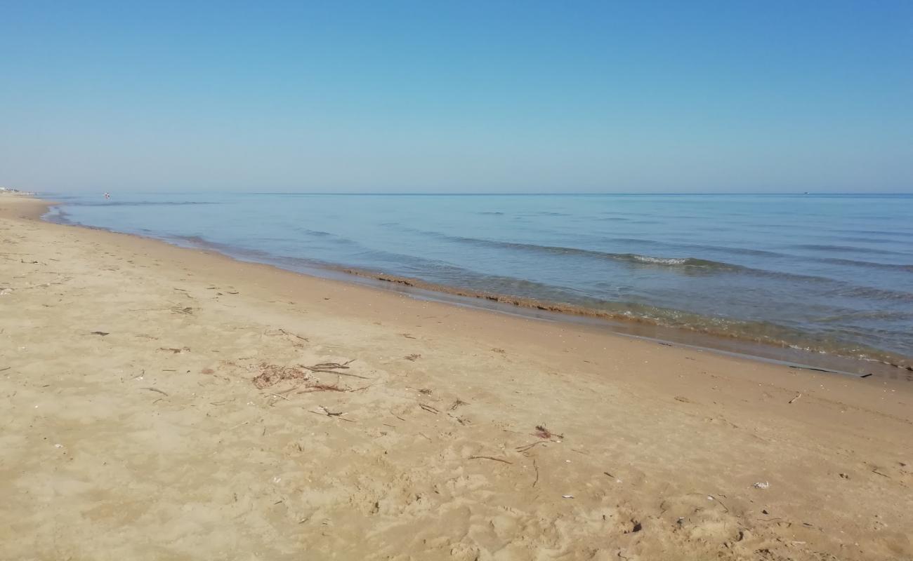 Spiaggia di Tammaricella'in fotoğrafı kahverengi kum yüzey ile