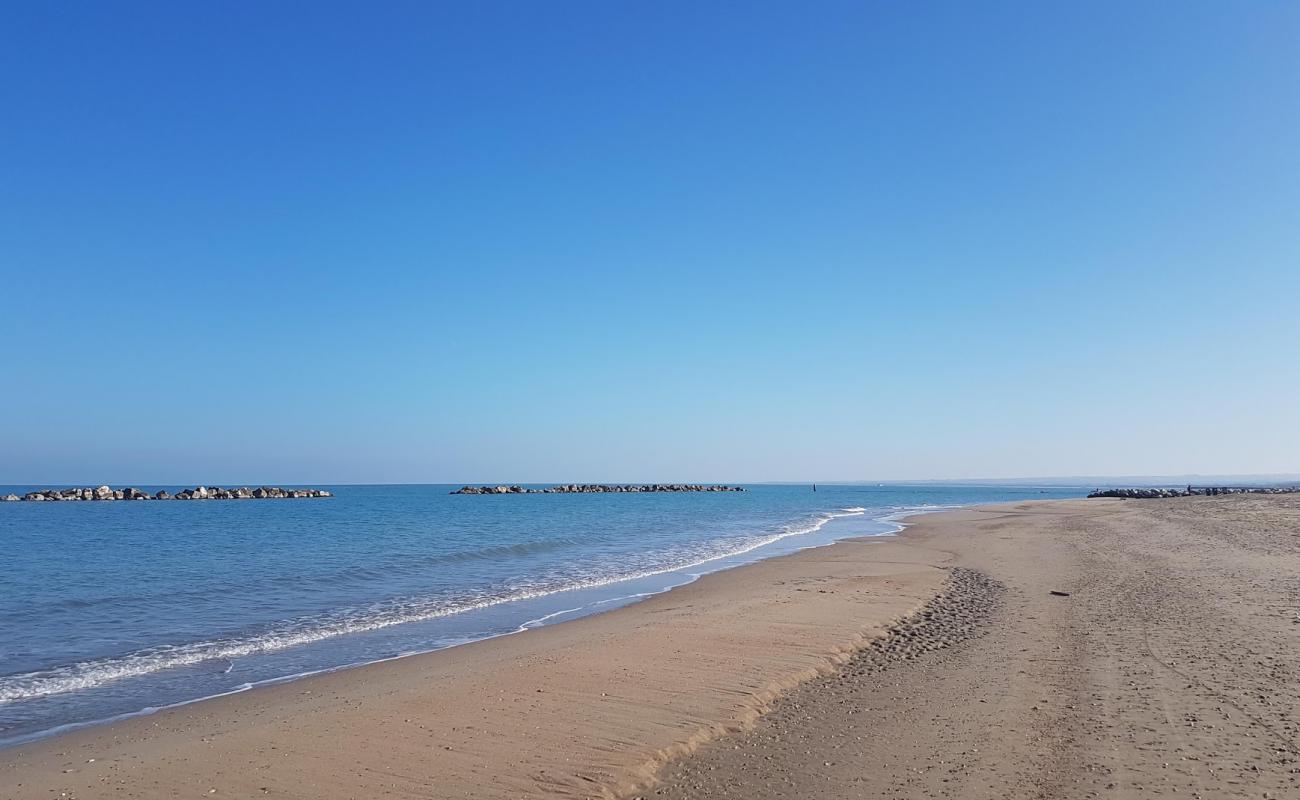 Campomarino Beach'in fotoğrafı i̇nce kahverengi kum yüzey ile