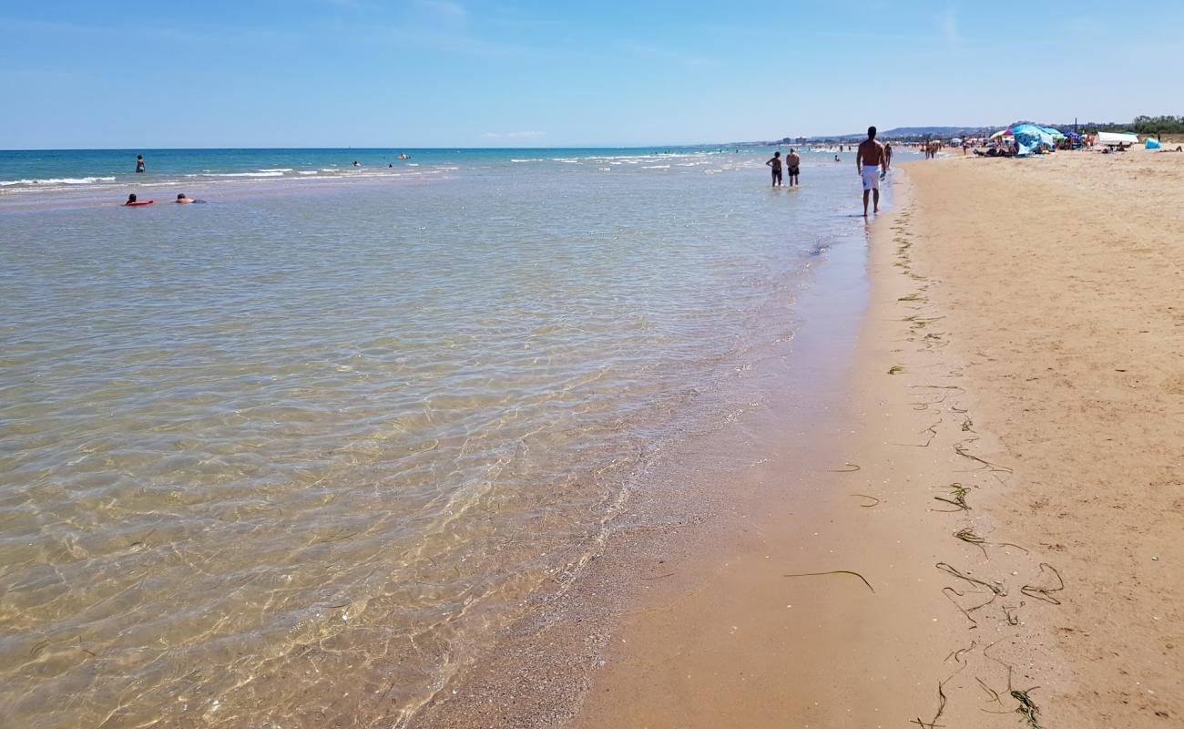 San Salvo Marina Beach'in fotoğrafı i̇nce kahverengi kum yüzey ile