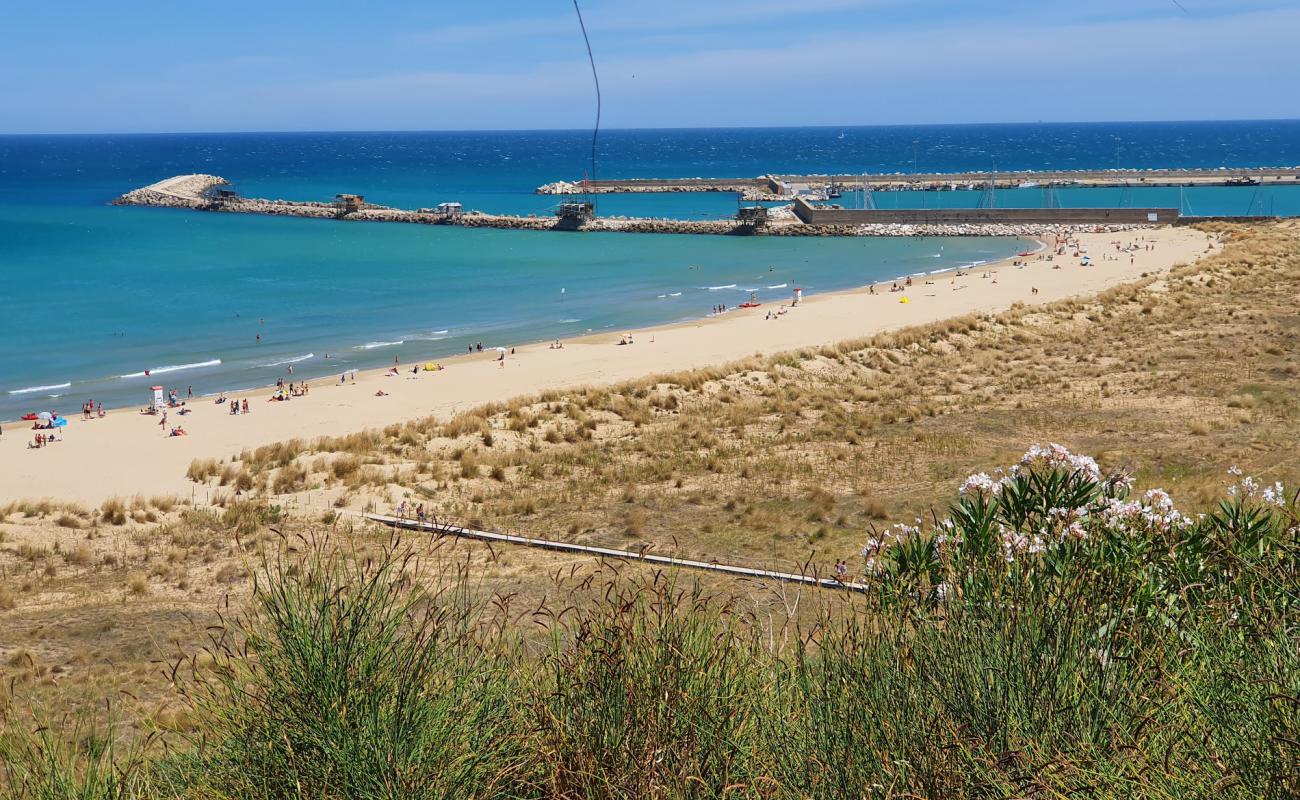 Spiaggia di Punta Penna'in fotoğrafı i̇nce kahverengi kum yüzey ile