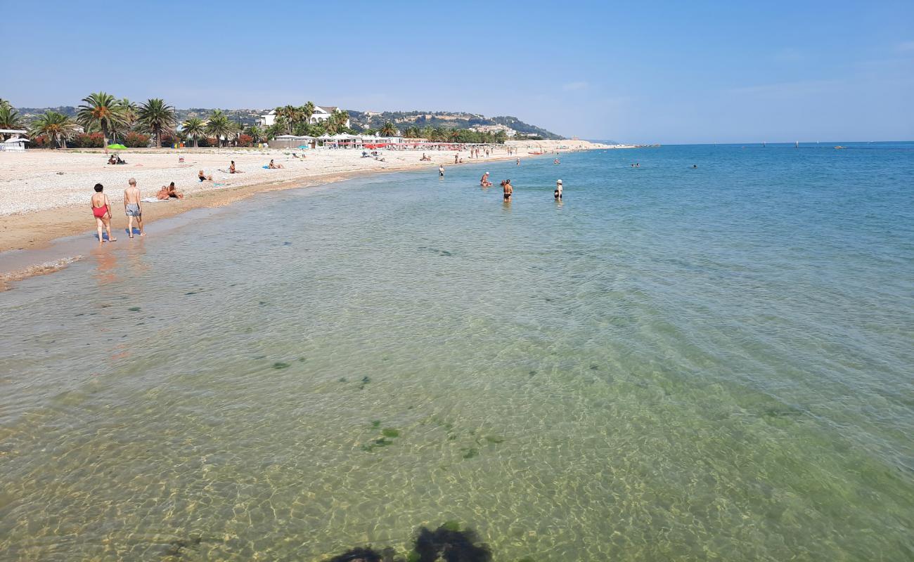 Dog Beach'in fotoğrafı çakıl ile kum yüzey ile