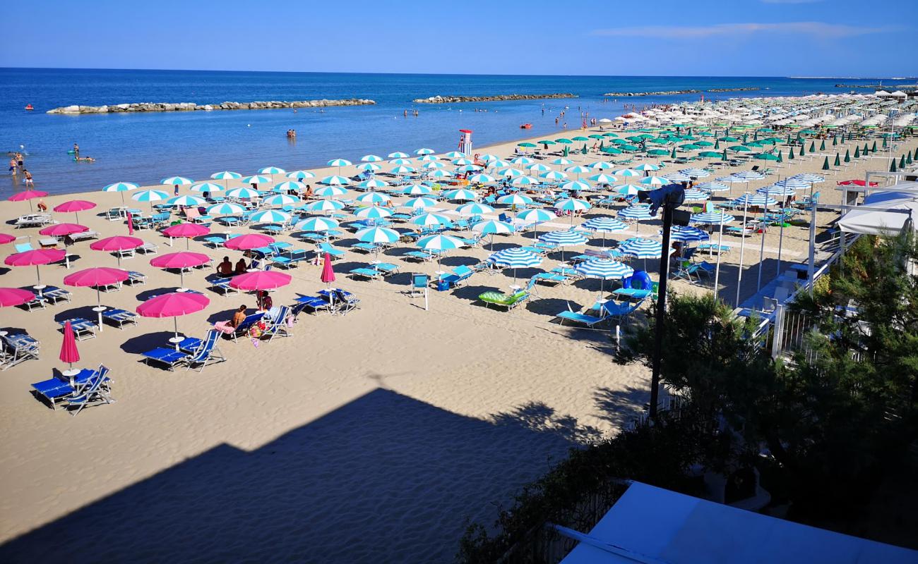 Spiaggia di Grottammare'in fotoğrafı açık bej kum yüzey ile