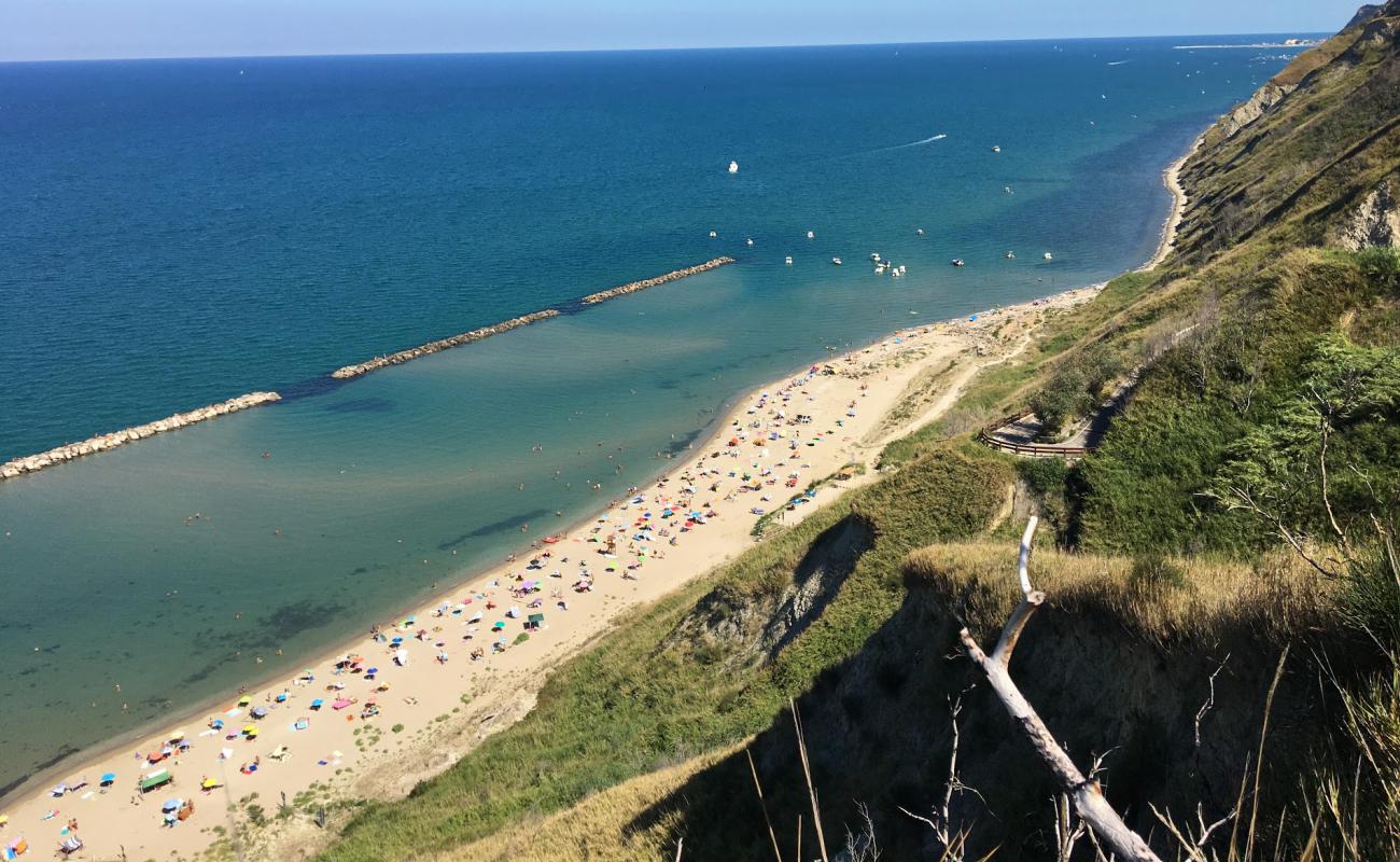 Fiorenzuola di Focara Beach'in fotoğrafı açık bej kum yüzey ile