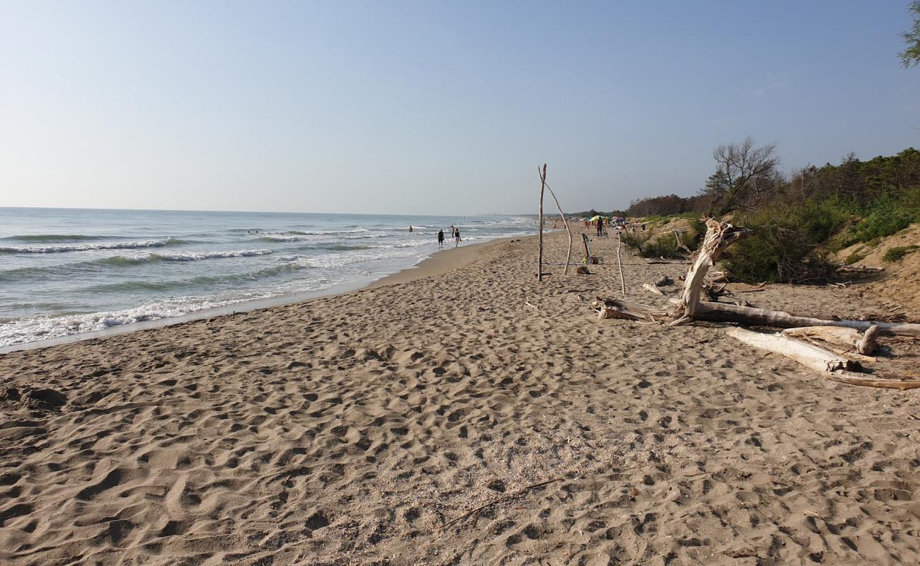 Lido di Dante Beach'in fotoğrafı açık bej kum yüzey ile