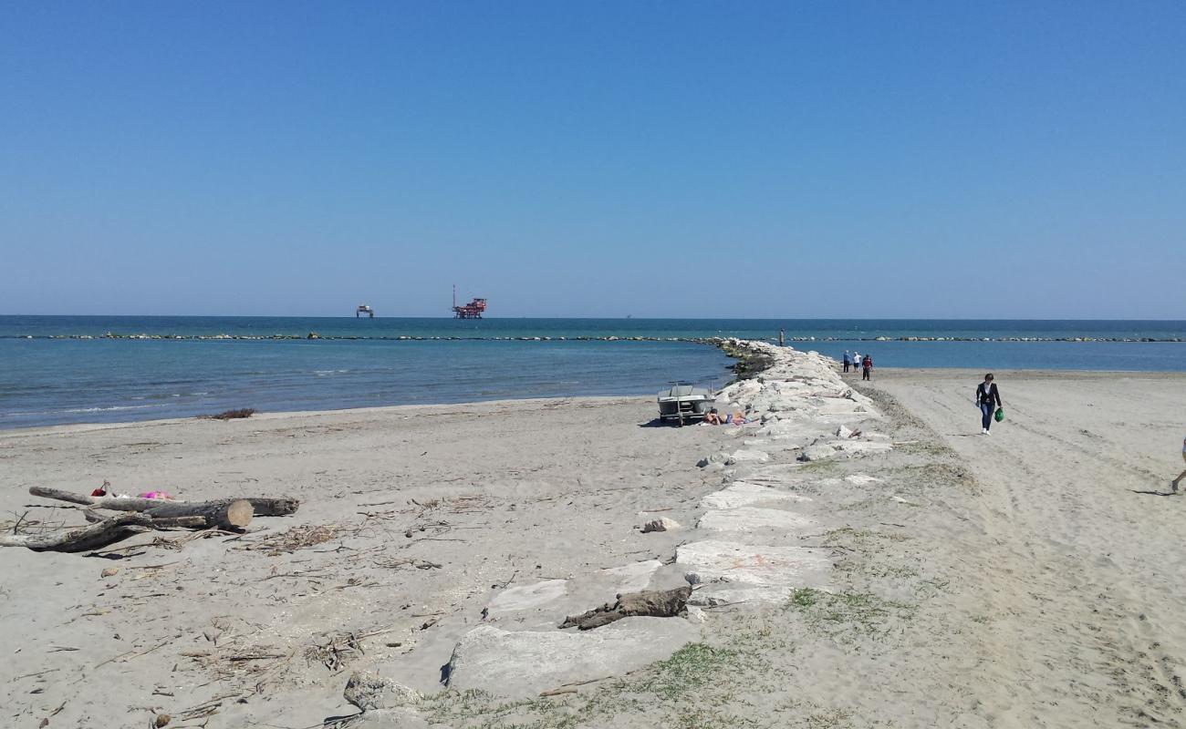Spiaggia della Salicornia di Lido di Dante'in fotoğrafı gri kum yüzey ile