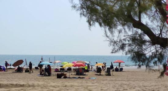 Cavallino Beach