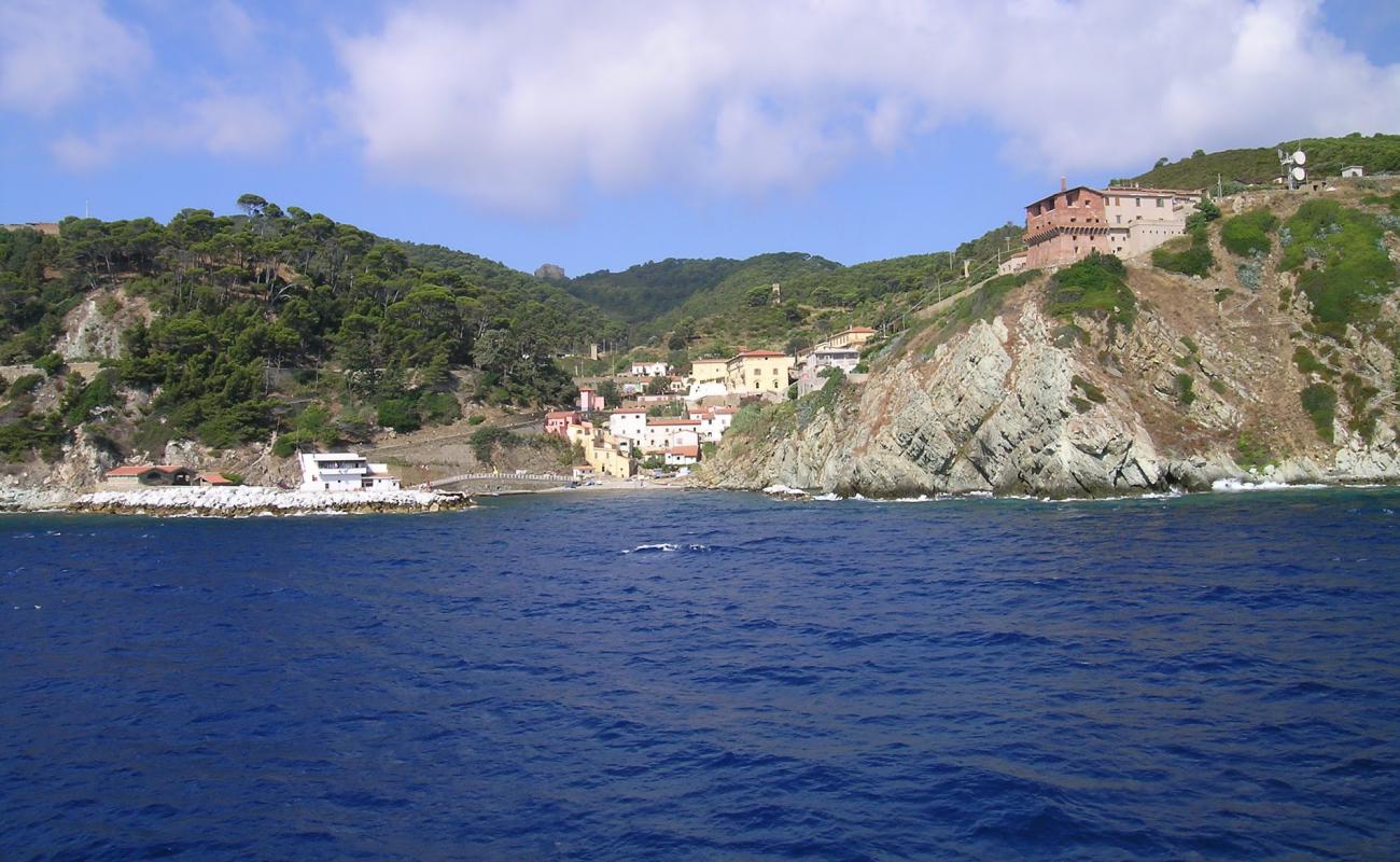 Gorgona Island beach'in fotoğrafı açık bej kum yüzey ile