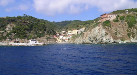 Gorgona Island beach