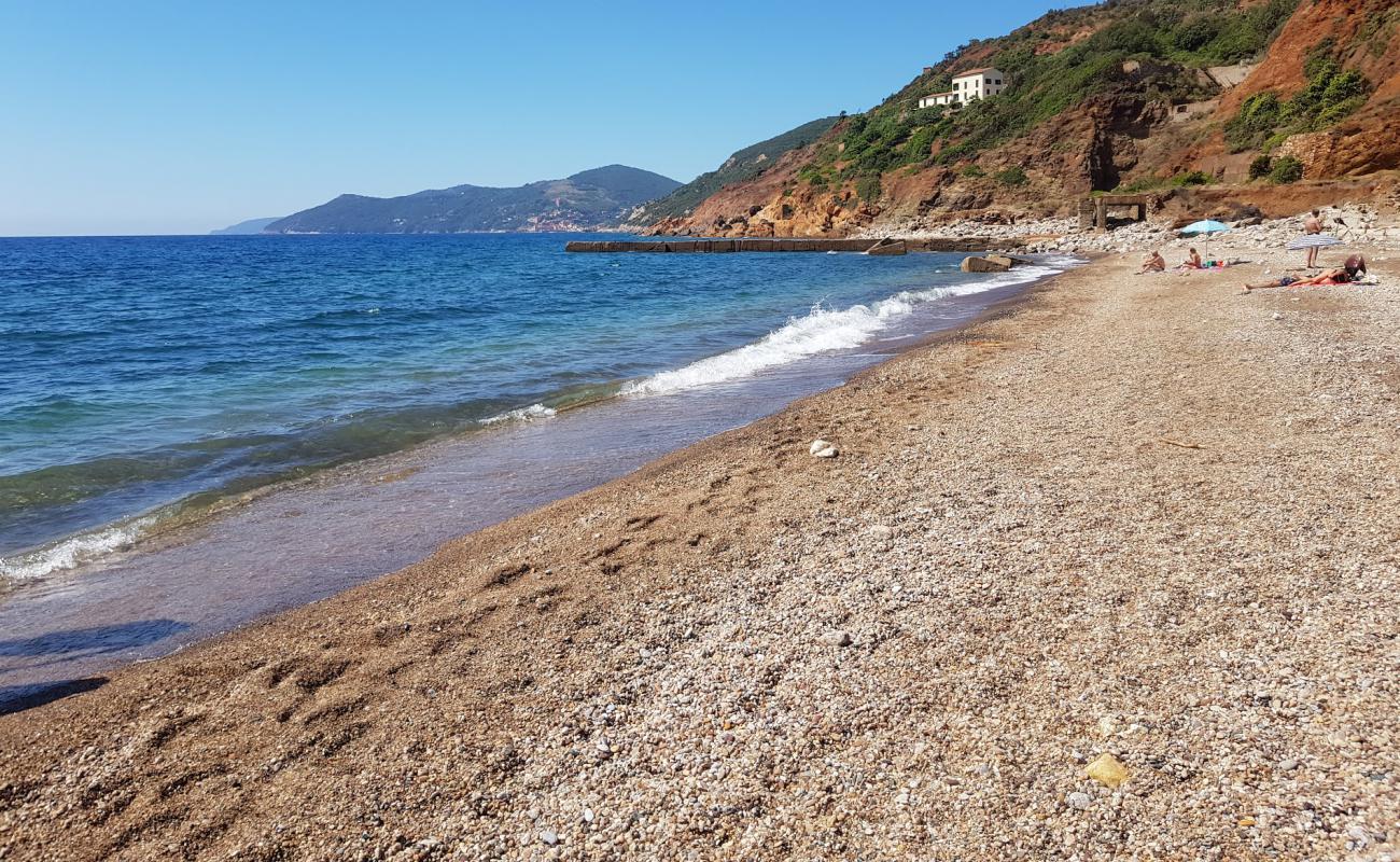 Spiaggia Cala Seregola'in fotoğrafı siyah kum ve çakıllar yüzey ile
