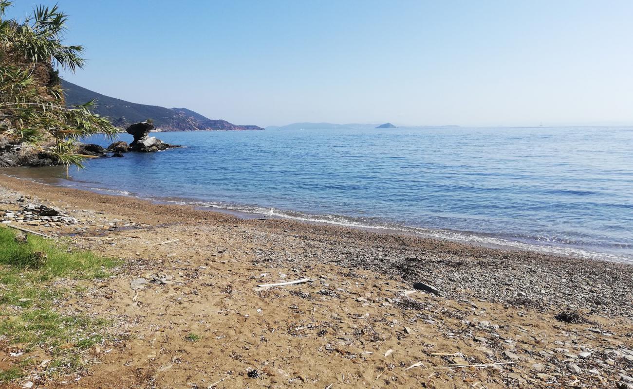 Marina beach'in fotoğrafı bej kum ve çakıl yüzey ile