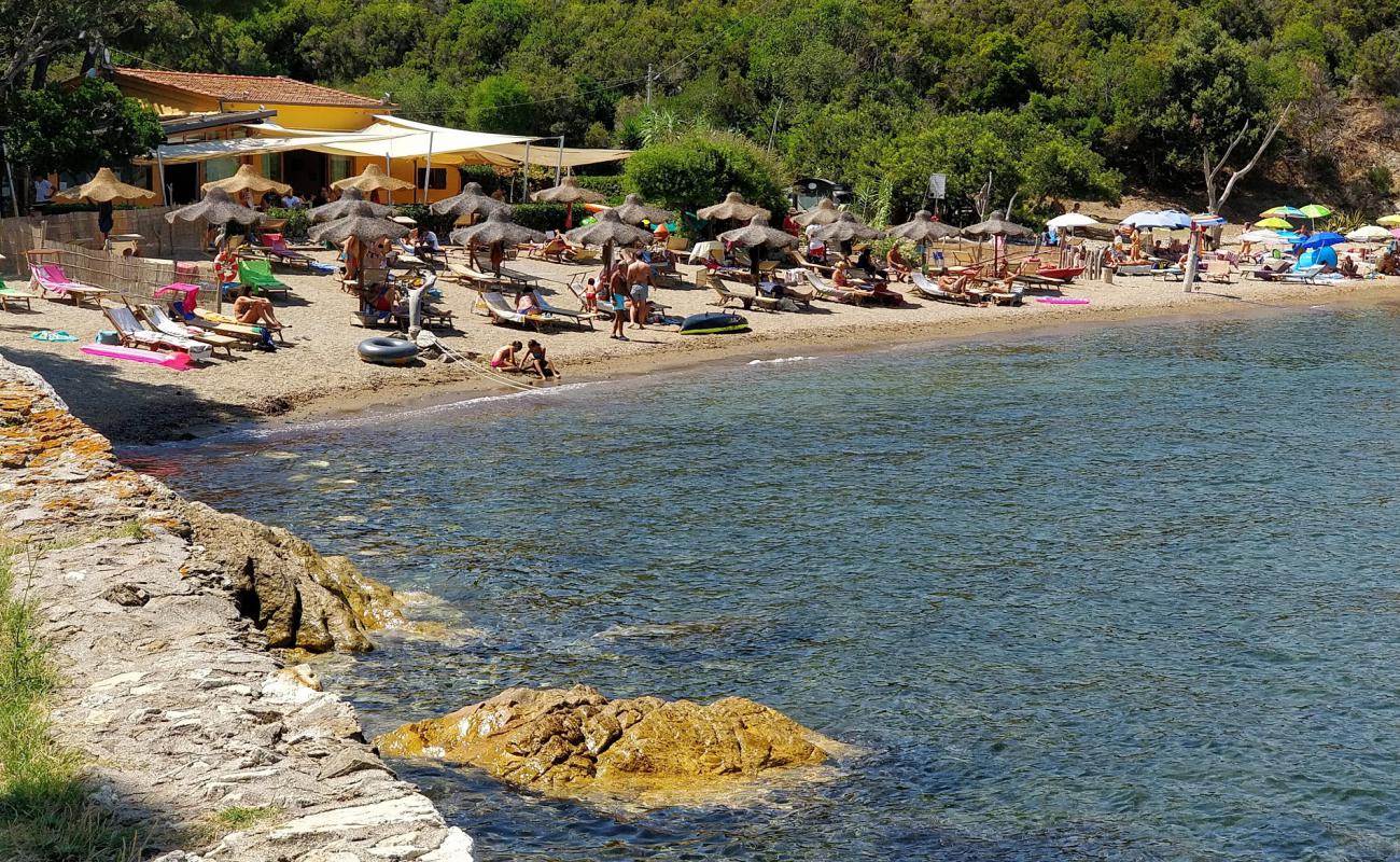 Spiaggia di Calanova'in fotoğrafı bej kum ve çakıl yüzey ile