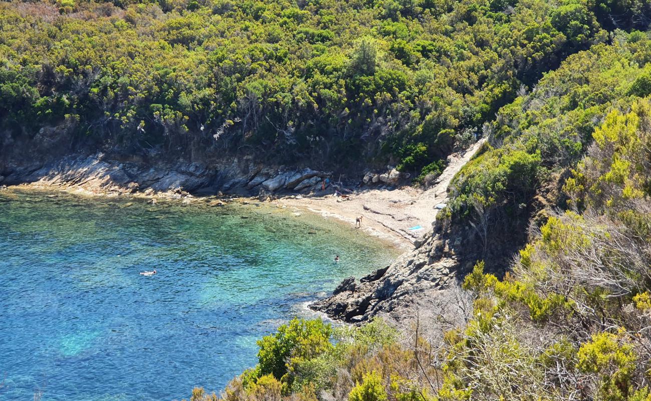 Spiaggia di Punta Nera'in fotoğrafı siyah kum yüzey ile