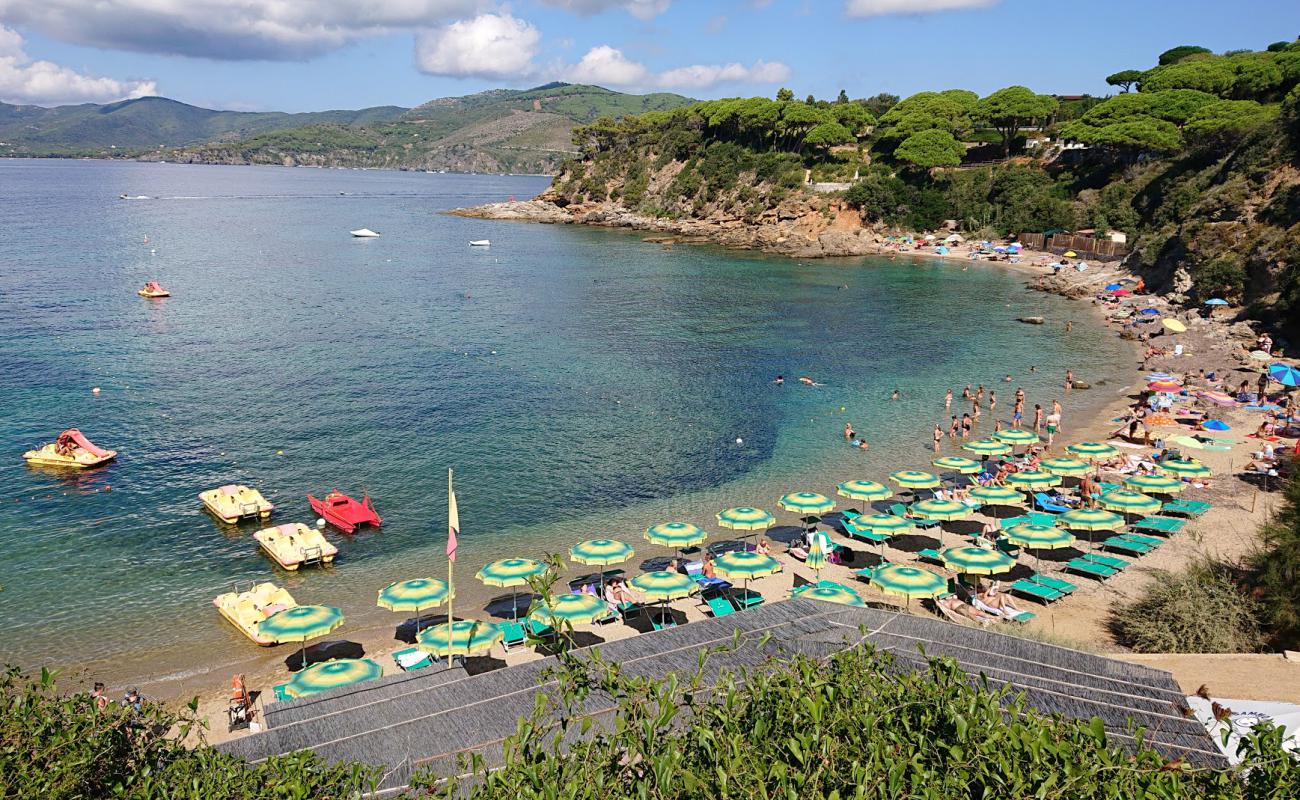 Spiaggia Di Zuccale'in fotoğrafı parlak kum yüzey ile