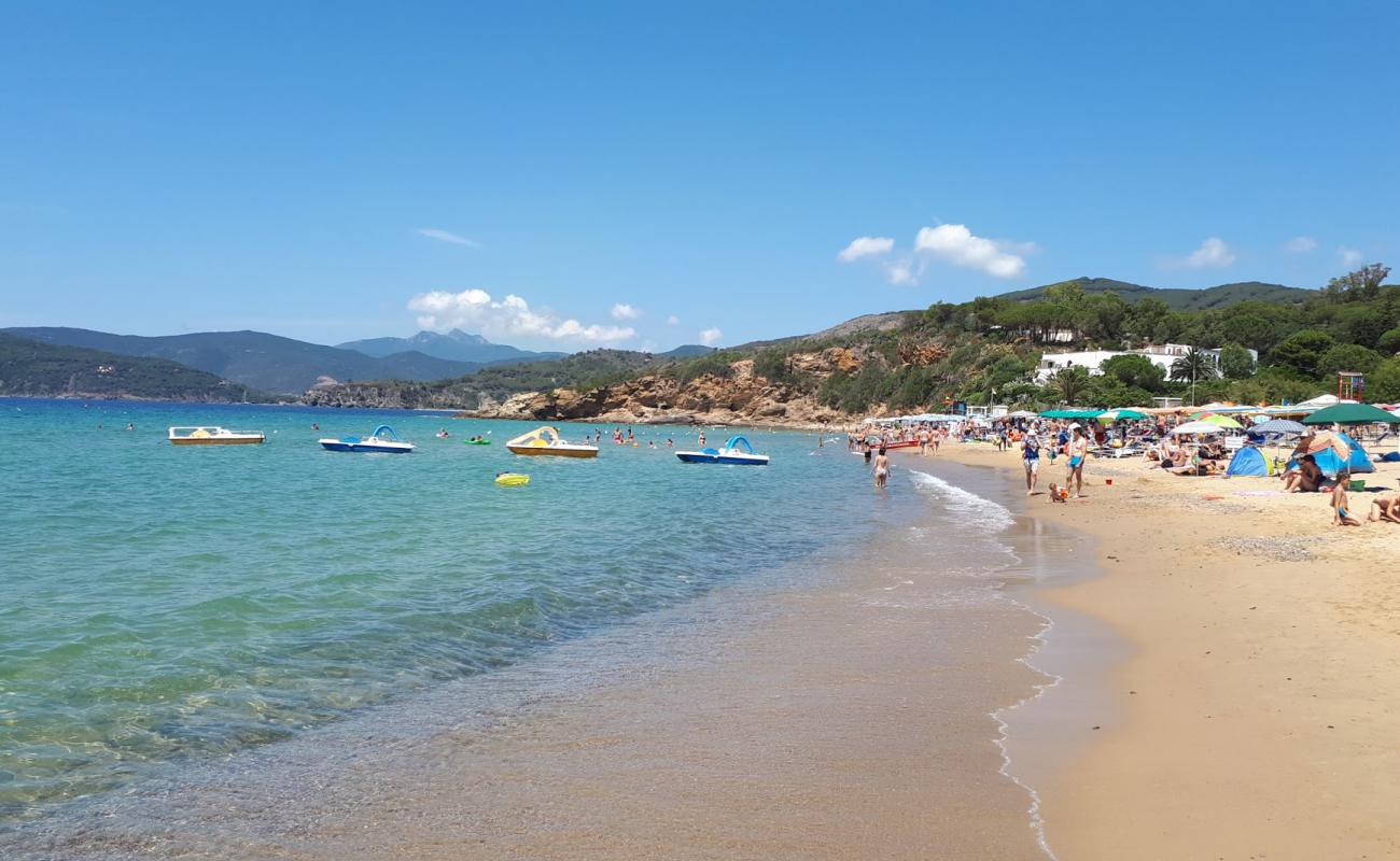 Lido di Capoliveri'in fotoğrafı parlak kum yüzey ile