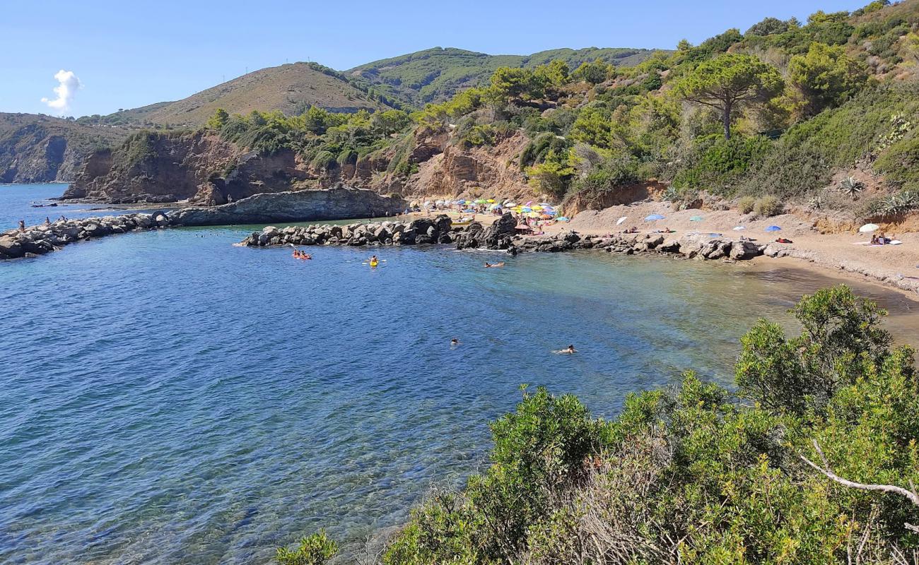 Felciaio Plajı'in fotoğrafı parlak kum yüzey ile