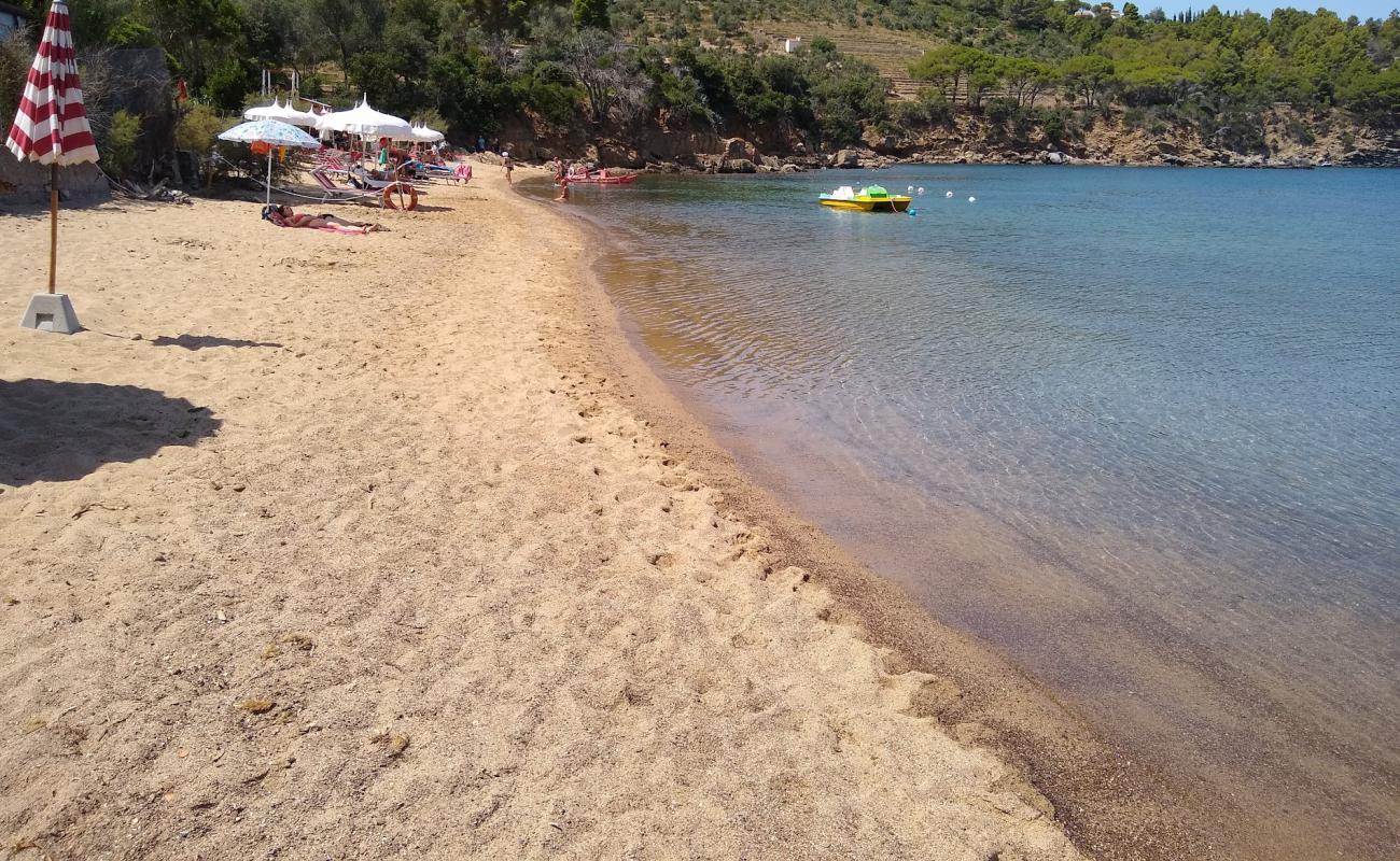 Spiaggia di Galenzana'in fotoğrafı hafif ince çakıl taş yüzey ile