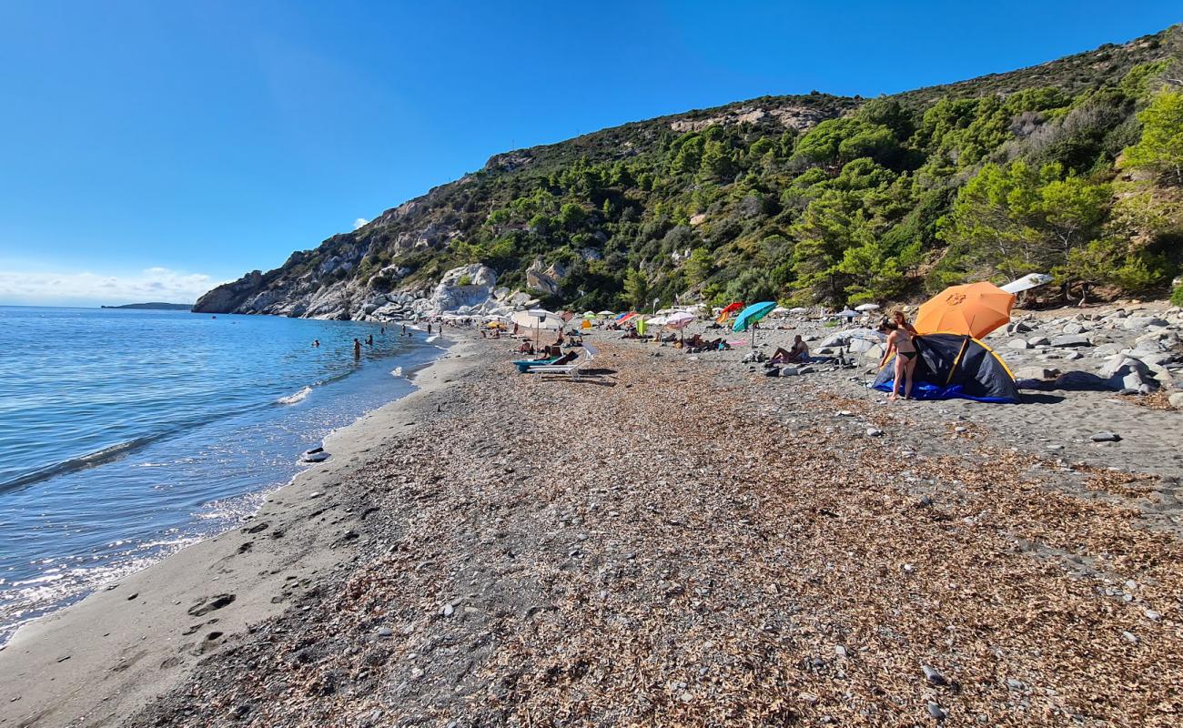 Palombaia Beach'in fotoğrafı gri çakıl taşı yüzey ile