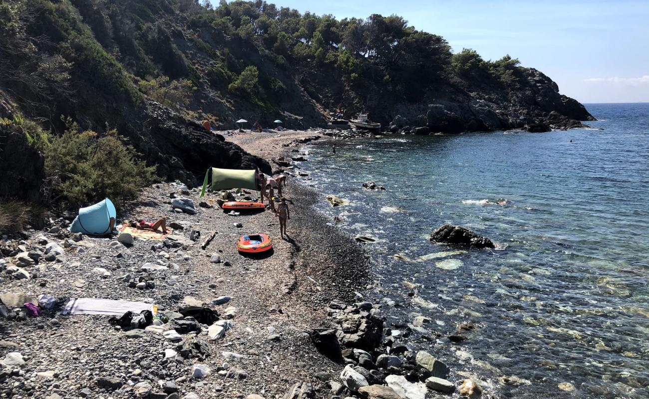 Spiaggia dell'Ogliera'in fotoğrafı hafif çakıl yüzey ile