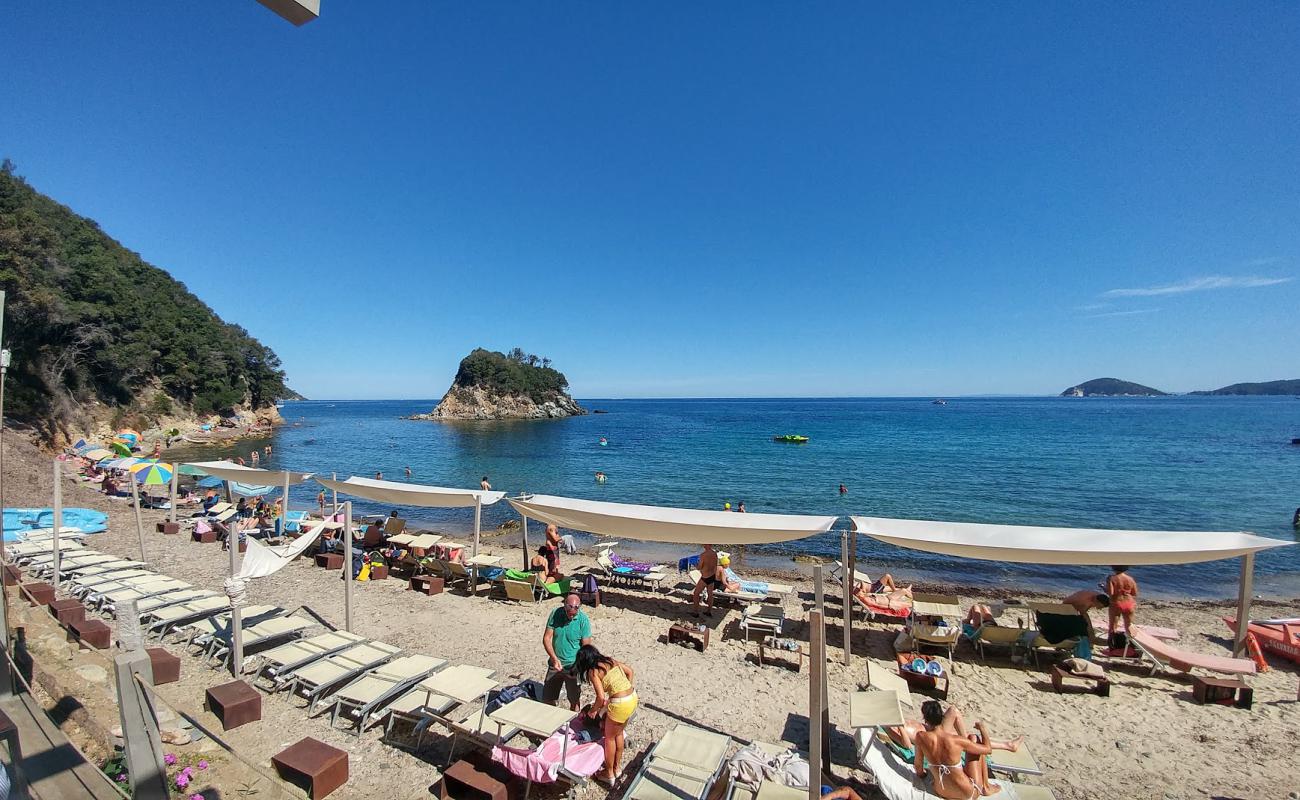 Spiaggia della Paolina'in fotoğrafı hafif çakıl yüzey ile