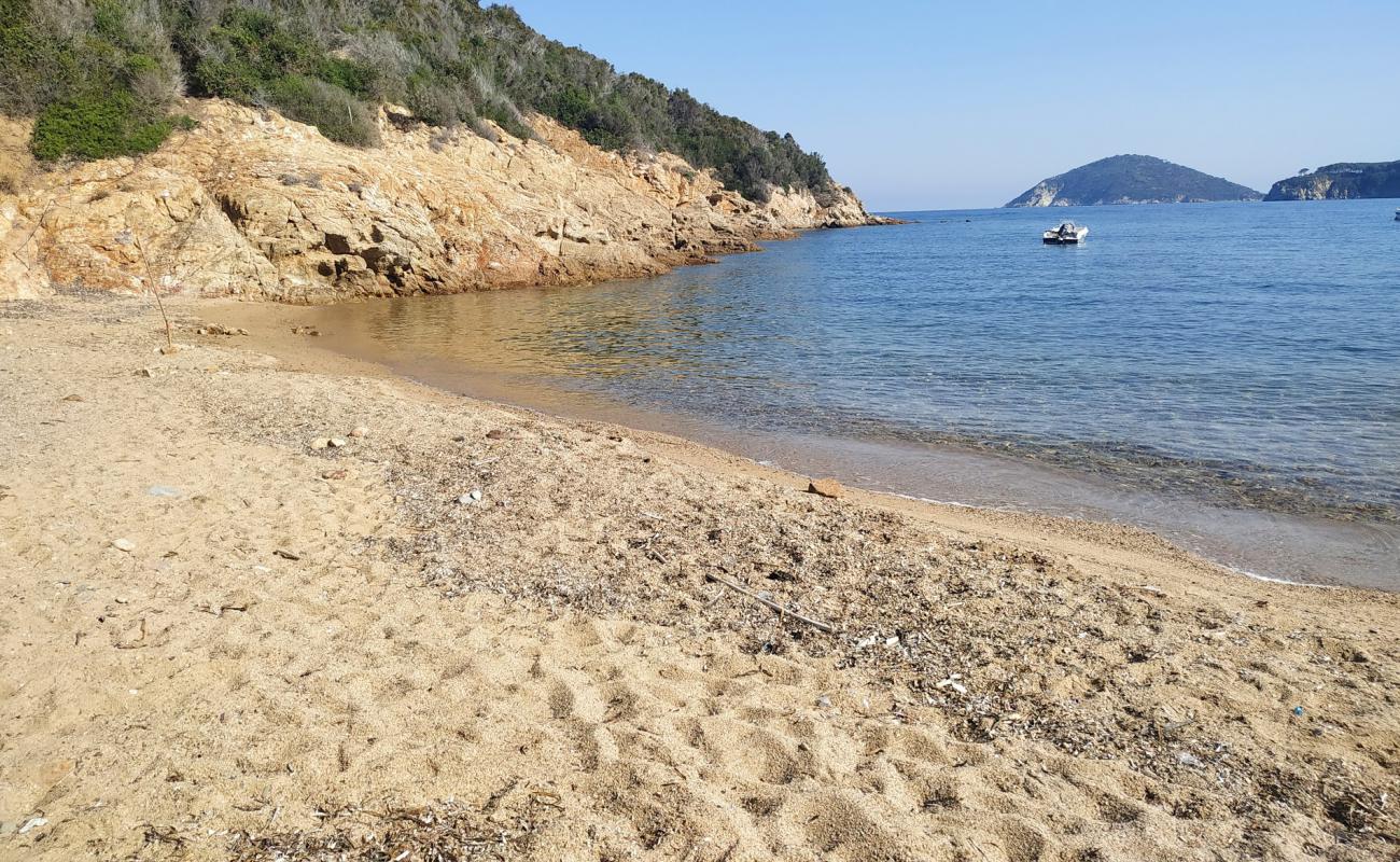 Spiaggetta del Porticciolo'in fotoğrafı hafif ince çakıl taş yüzey ile