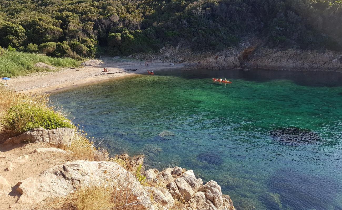 Spiaggia della Lamaia'in fotoğrafı çakıl ile kum yüzey ile