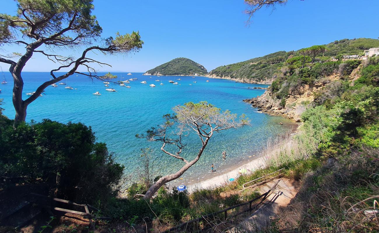 Spiaggia del Viticcio'in fotoğrafı gri çakıl taşı yüzey ile