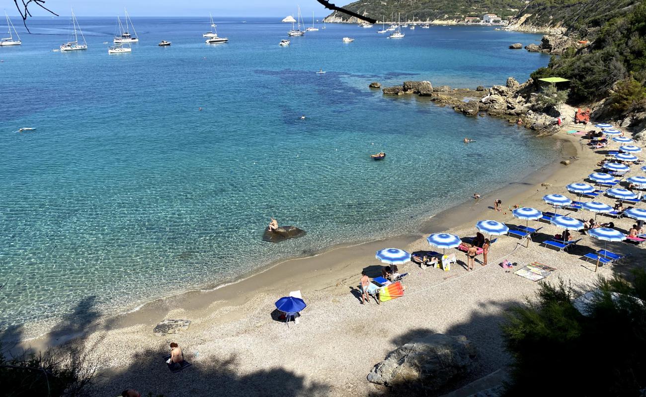 Spiaggia del Viticcio II'in fotoğrafı çakıl ile kum yüzey ile