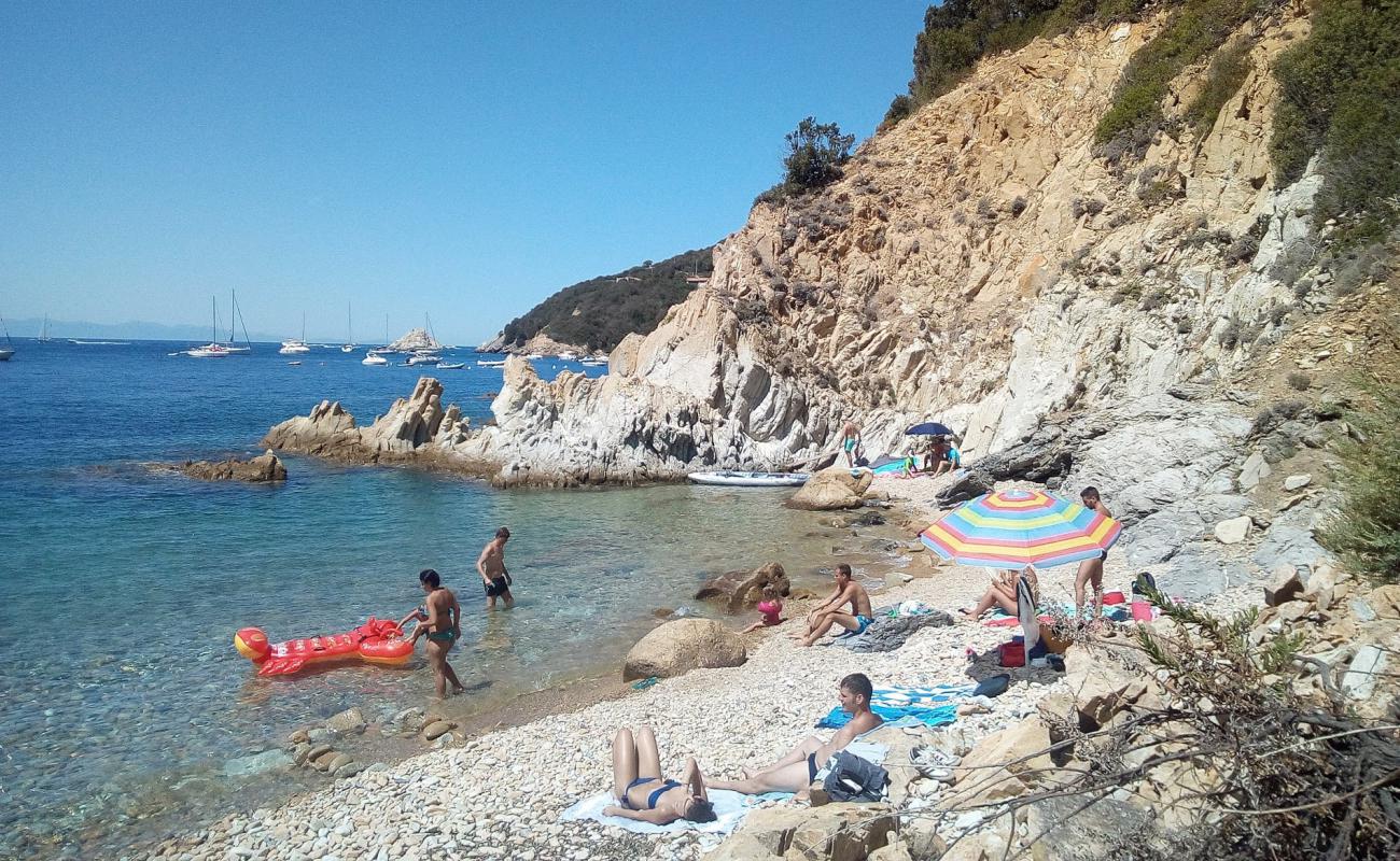 Caletta Pinetina'in fotoğrafı hafif çakıl yüzey ile