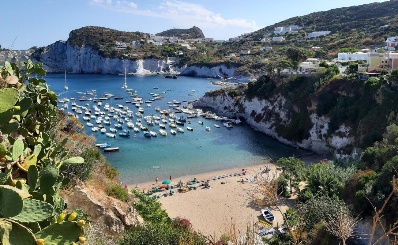 Cala Feola Beach'in fotoğrafı parlak ince kum yüzey ile