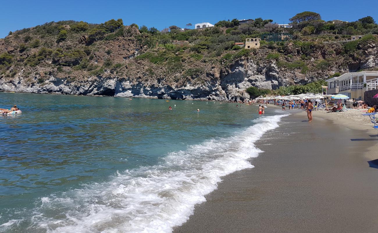 Arenile Di San Francesco Plajı'in fotoğrafı açık bej kum yüzey ile