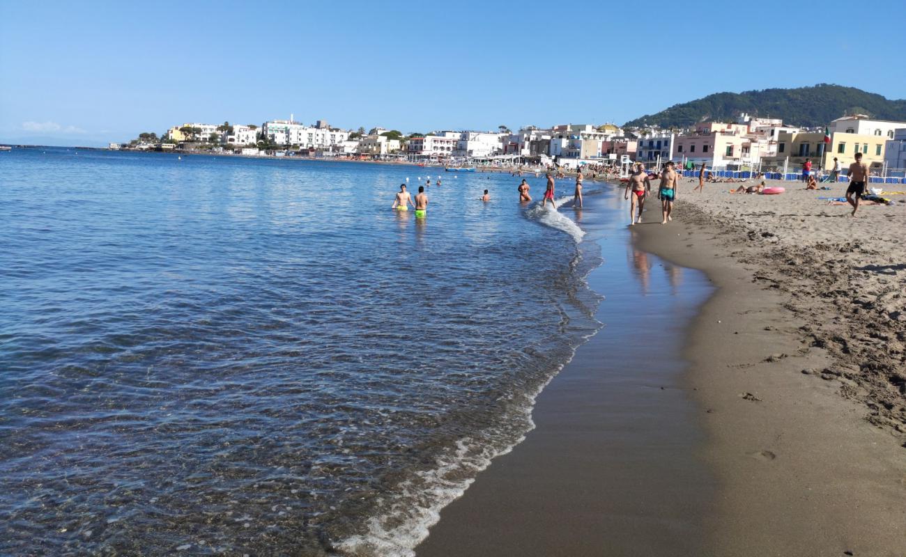 Spiaggia di San Pietro'in fotoğrafı gri kum yüzey ile