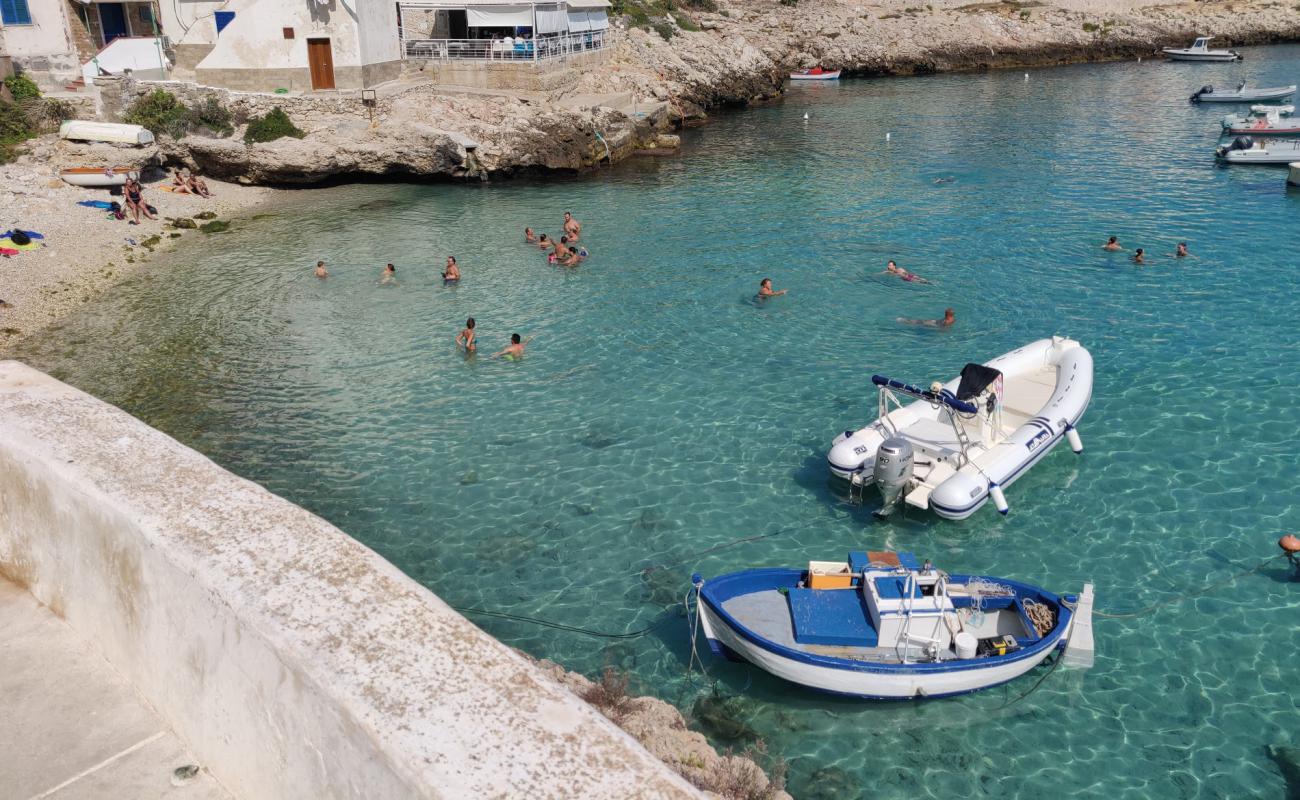 Spiaggia di Cala Dogana'in fotoğrafı kayalık arazi yüzey ile